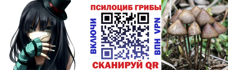 мега маркетплейс Клинцы Псилоцибиновые грибы мицелий
